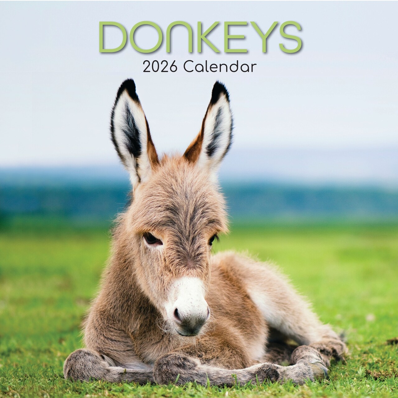 The Gifted Stationery 2026 Square Wall Calendar, Donkeys, 16-Month Animals Theme Hanging Calendar with 180 Reminder Stickers, Month Planner for Home, or Creative Spaces, 12x12 In